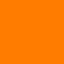 Neon Orange SIGN VINYL