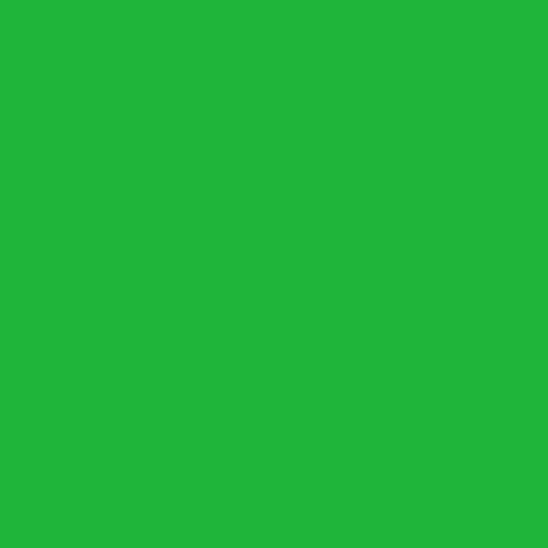ORACAL 651 YELLOW GREEN - SHVinyl