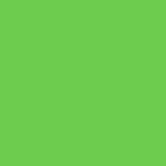 Pastel Green HTV